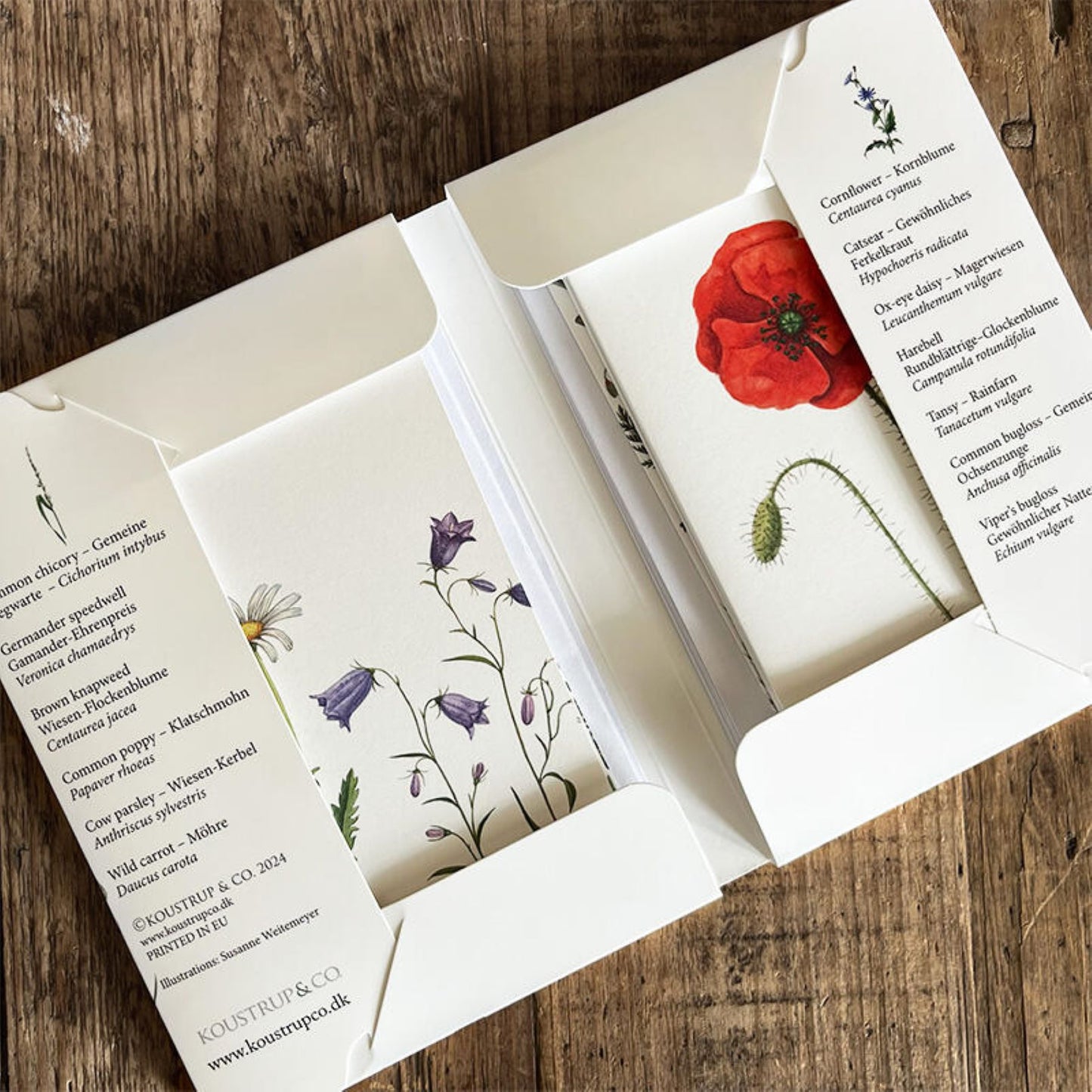 KOUSTRUP & CO Papeterie - Postkarten Set Feld- und Wiesenblumen Innenansicht