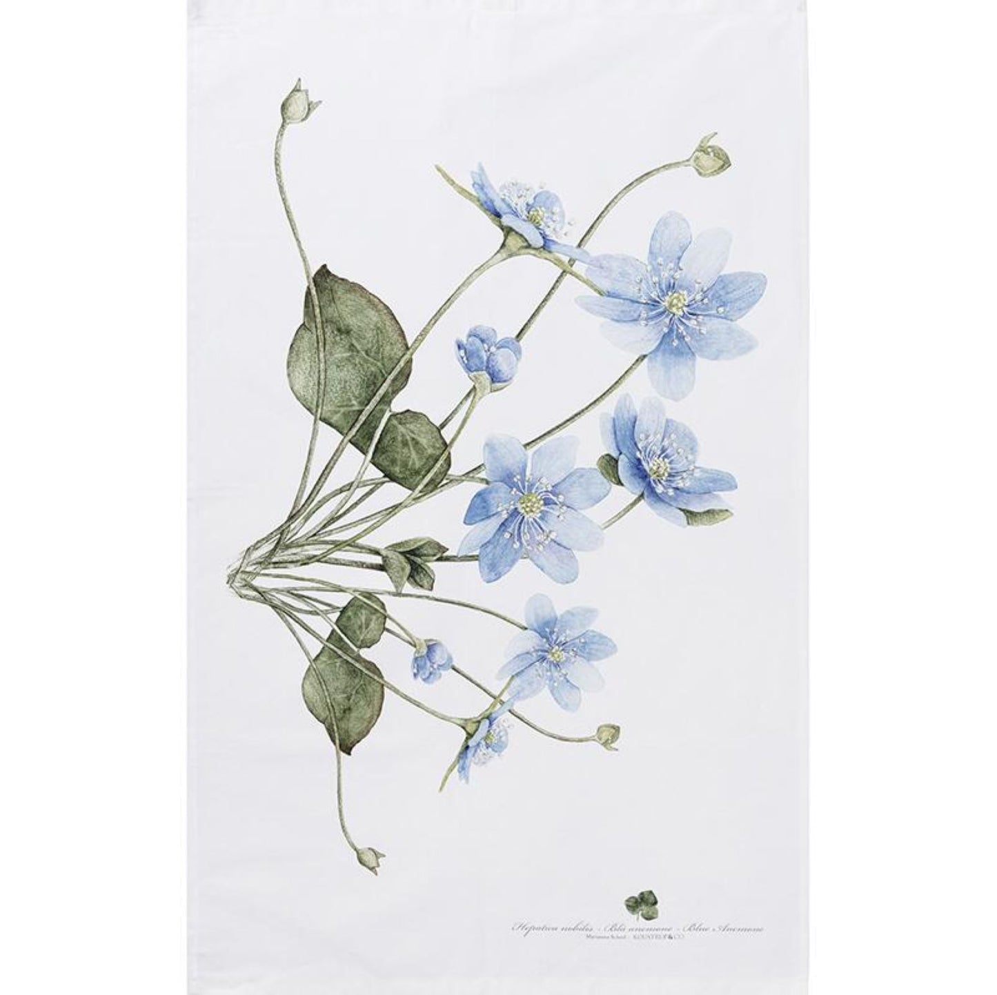 Koustrup & Co Geschirrtuch Blaue Anemone