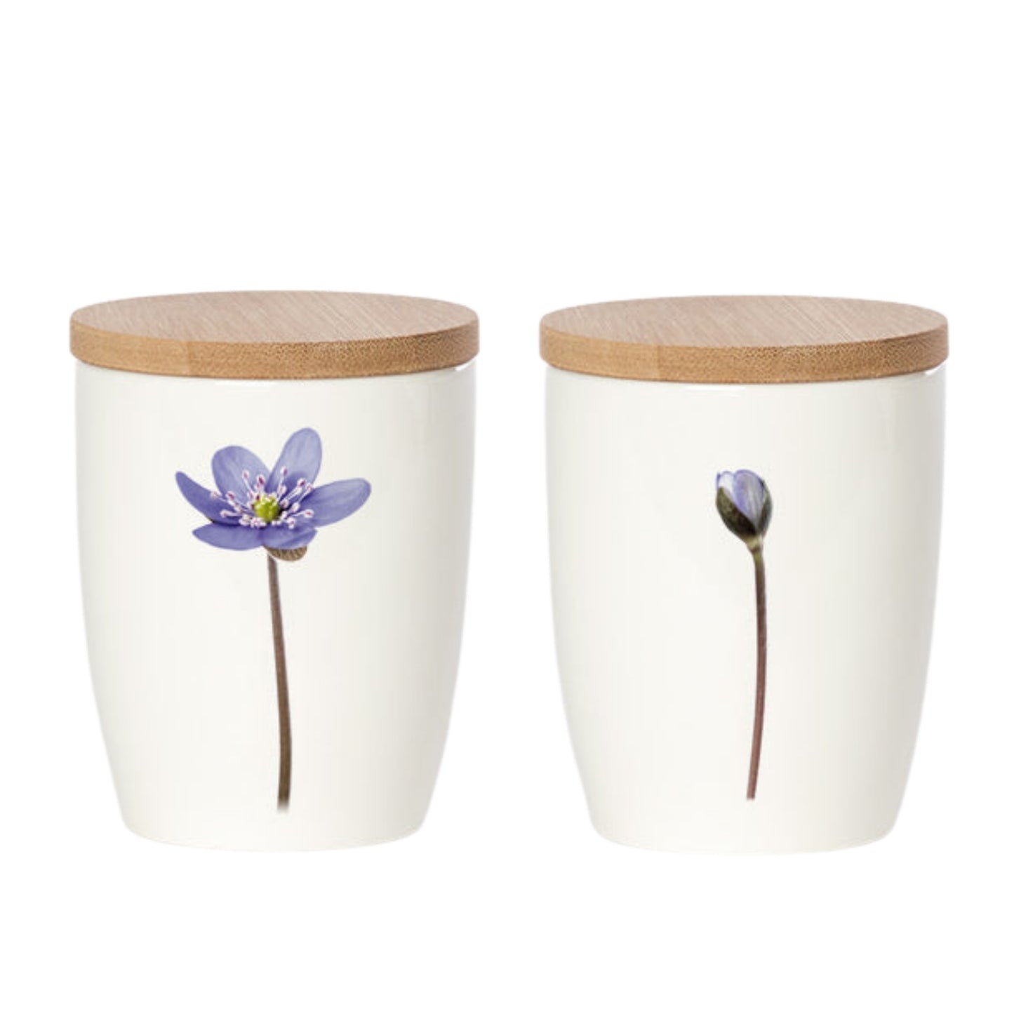 Simply Flowers. Becher Blaue Anemone