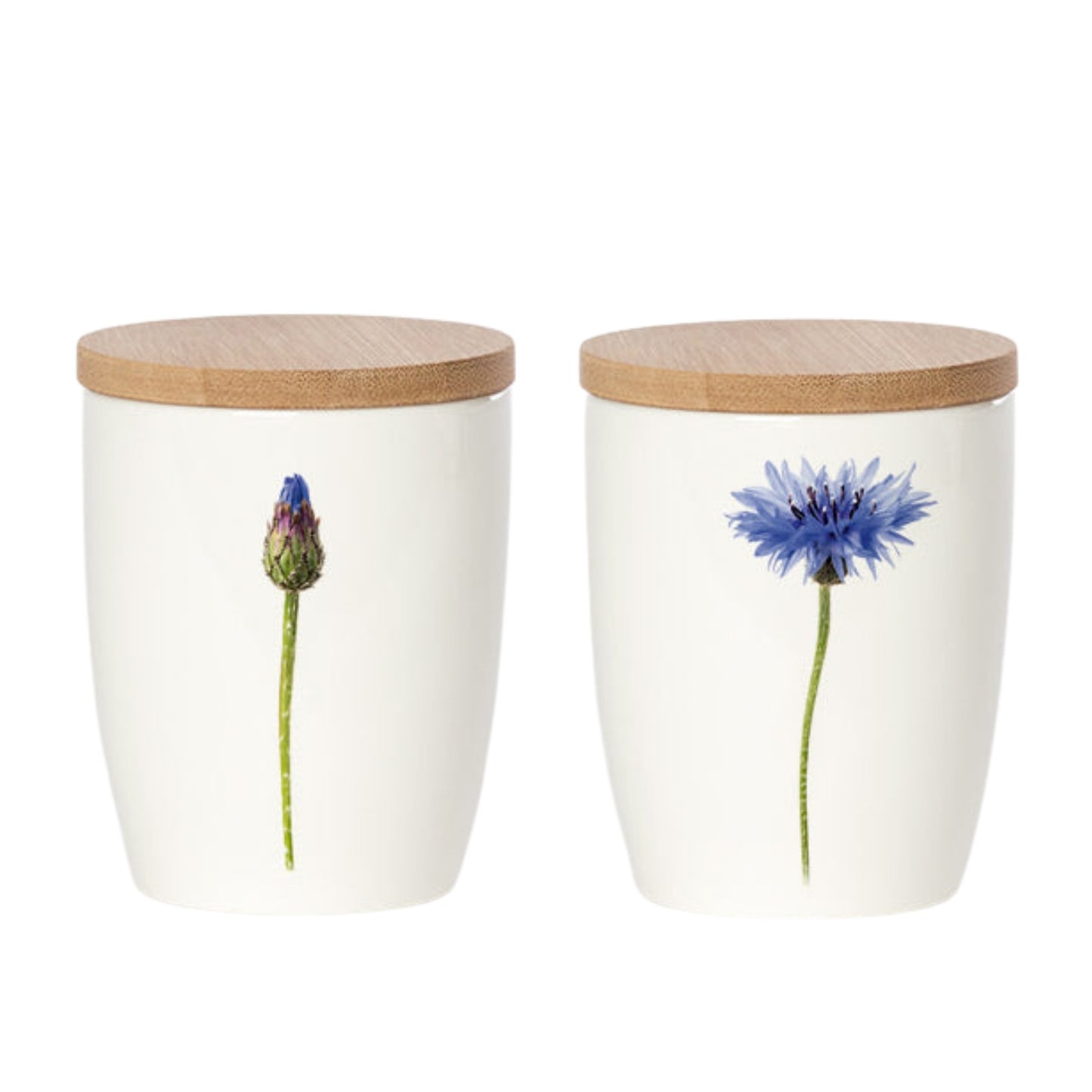 Simply Flowers. Becher Kornblume