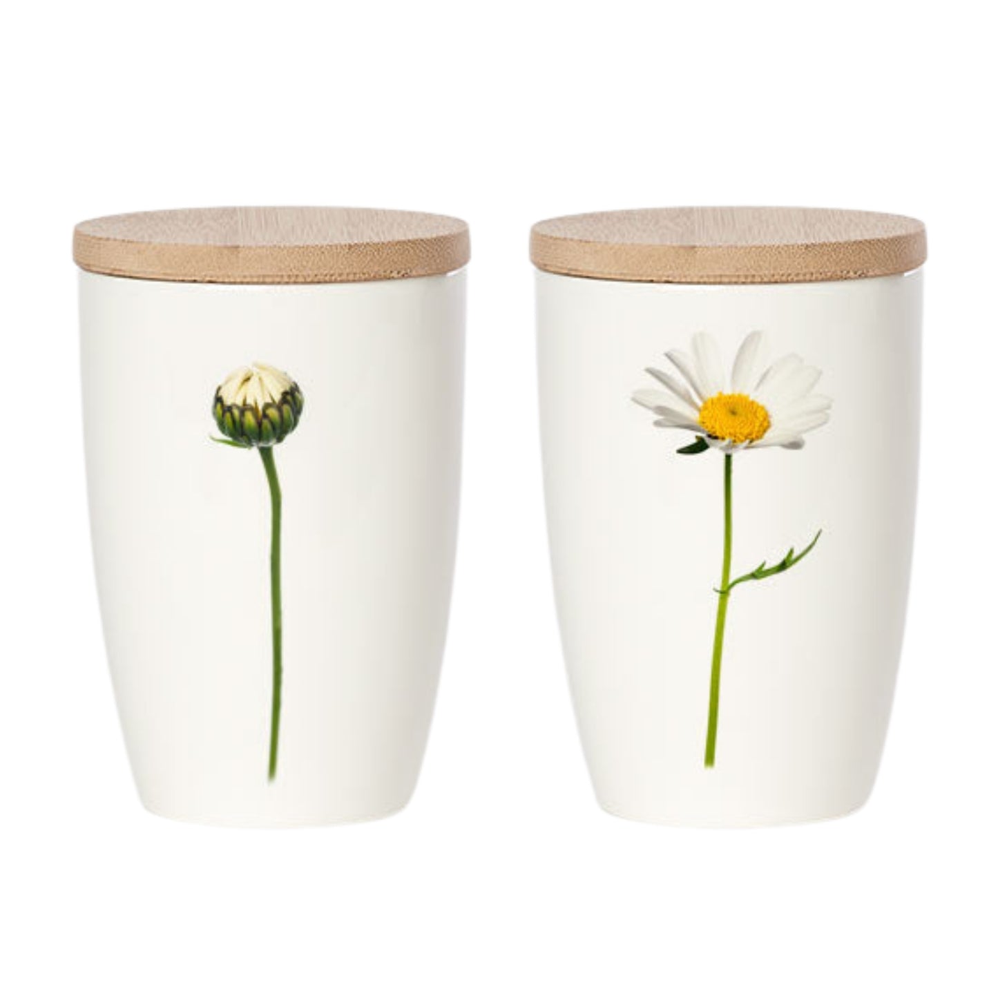 Simply Flowers. Becher Margerite