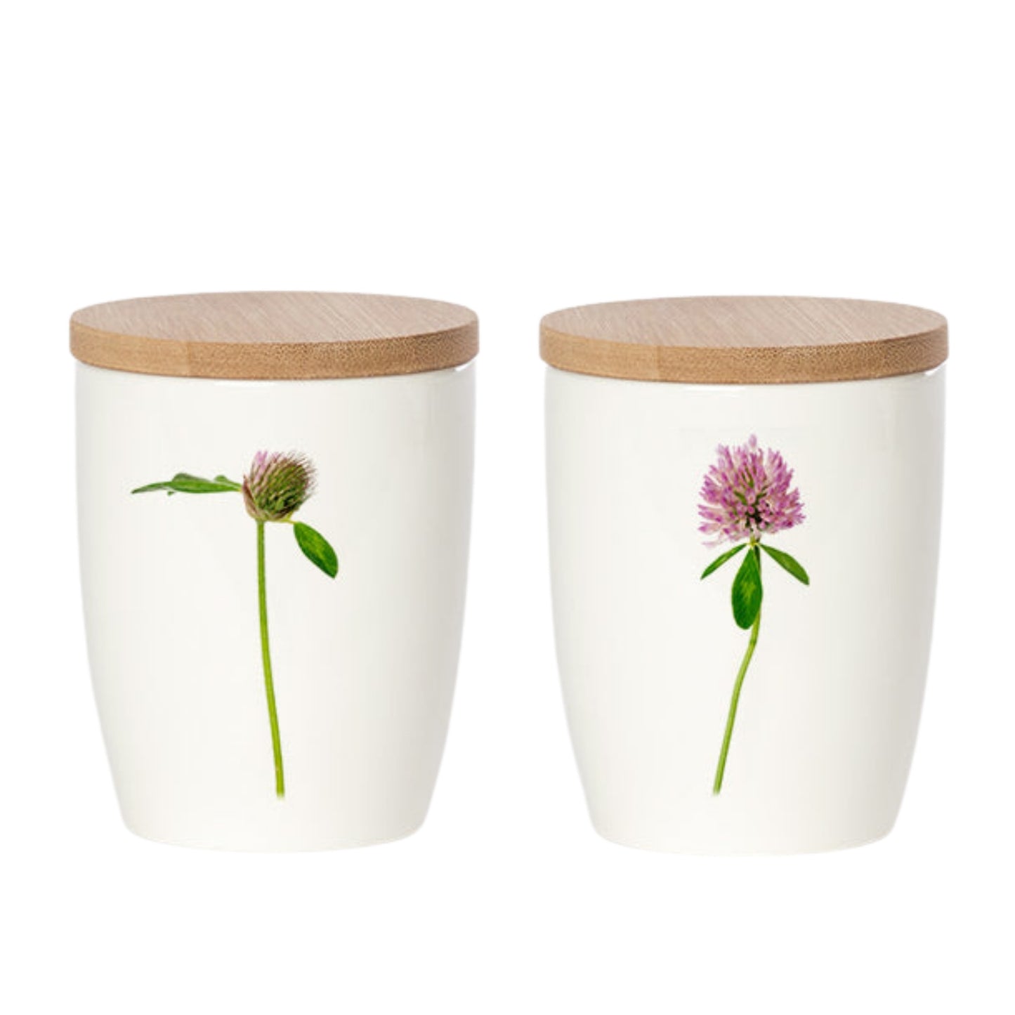 Simply Flowers. Becher Rotklee