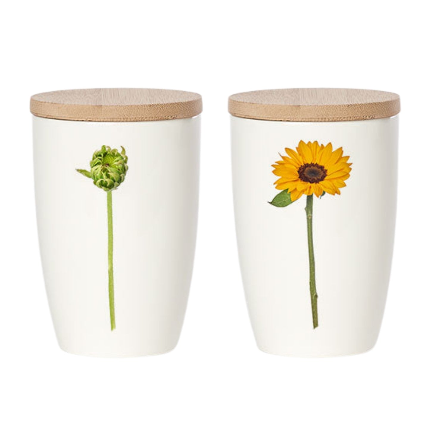 Simply Flowers. Becher Sonnenblume