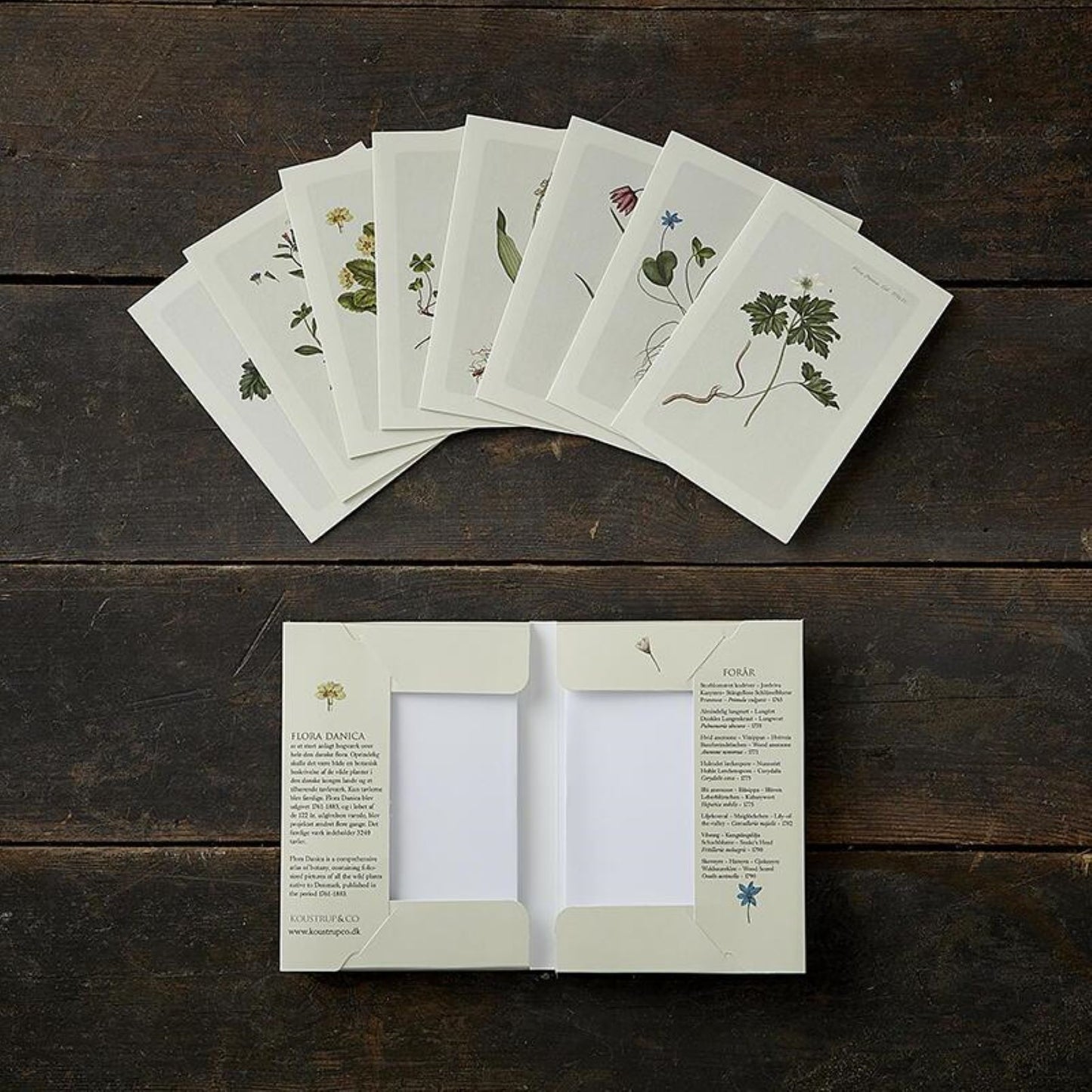 KOUSTRUP & CO Papeterie - Postkarten Set Frühling ausgepackt