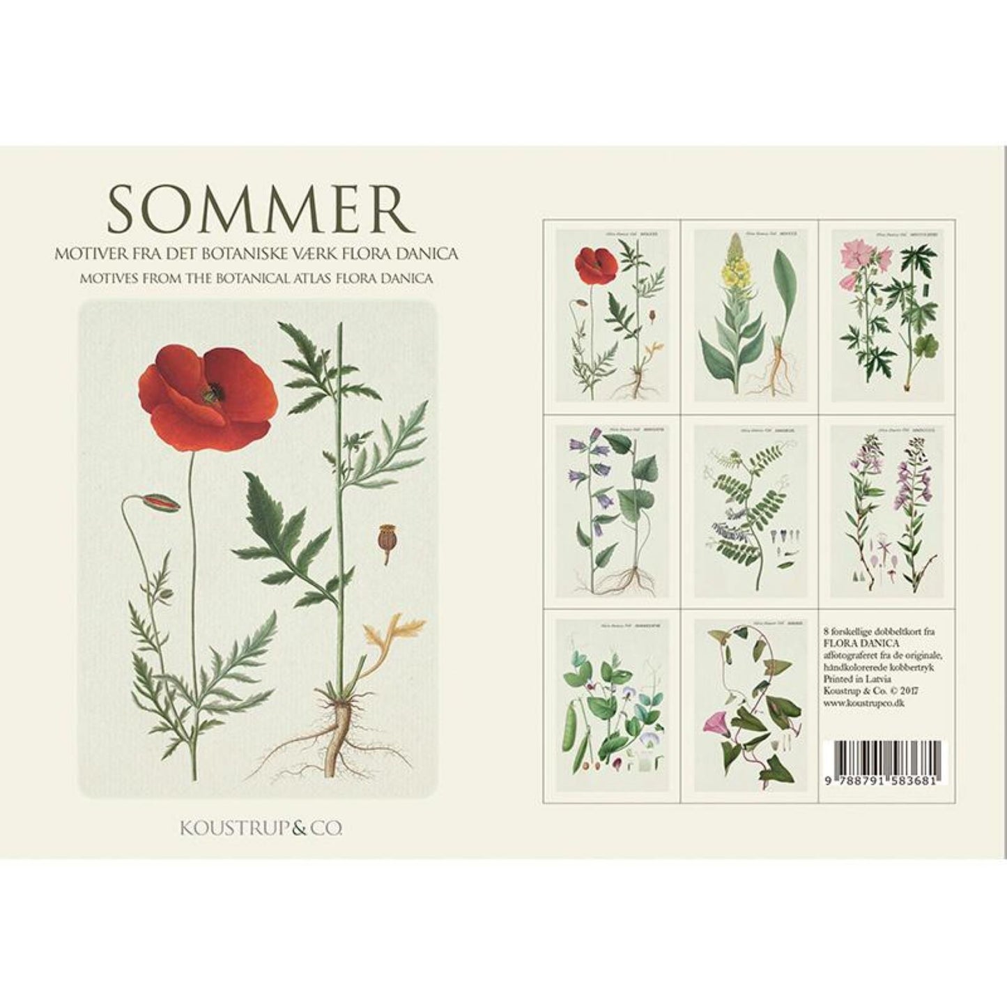 KOUSTRUP & CO Papeterie - Postkarten Set Sommer